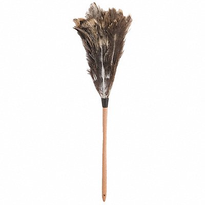 30 Feather Duster 1 EA