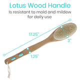 17" BODY BRUSH, SOFT NYLON, STIFF BOAR BRISTLES, WATERPROOF FINISH - LVA1036